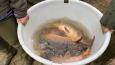 IMG-20240210-WA0018.jpg