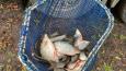 IMG-20240210-WA0027.jpg