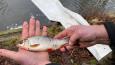 IMG-20240210-WA0029.jpg