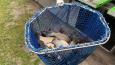 IMG-20240210-WA0033.jpg