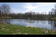 DSC 0021